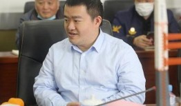 刘振最新爆料新闻报道,揭秘事件背后惊人内幕